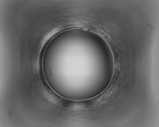 X0000113150248200909041240