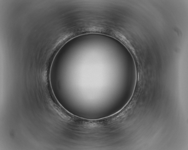 X0000113150249200909041240