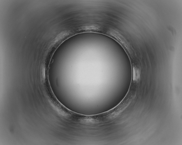 X0000113150253200909041240