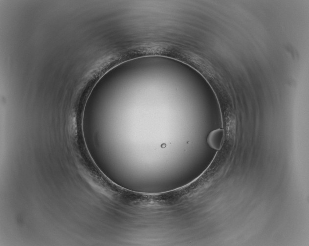 X0000113150254200909041240