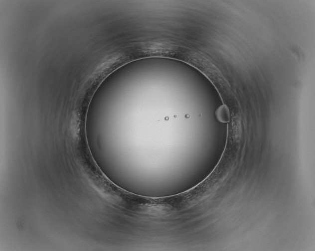 X0000113150255200909041240