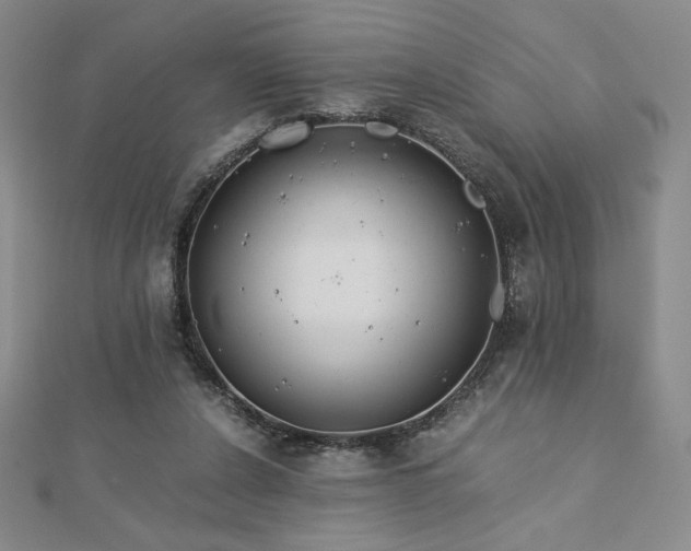 X0000113150256200909041240