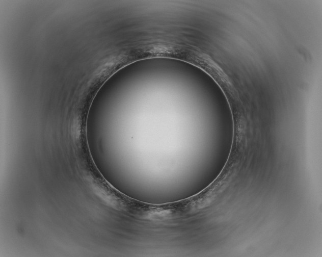 X0000113150257200909041240