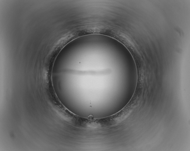 X0000113150258200909041240