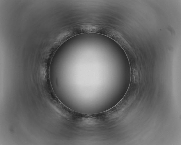 X0000113150259200909041240