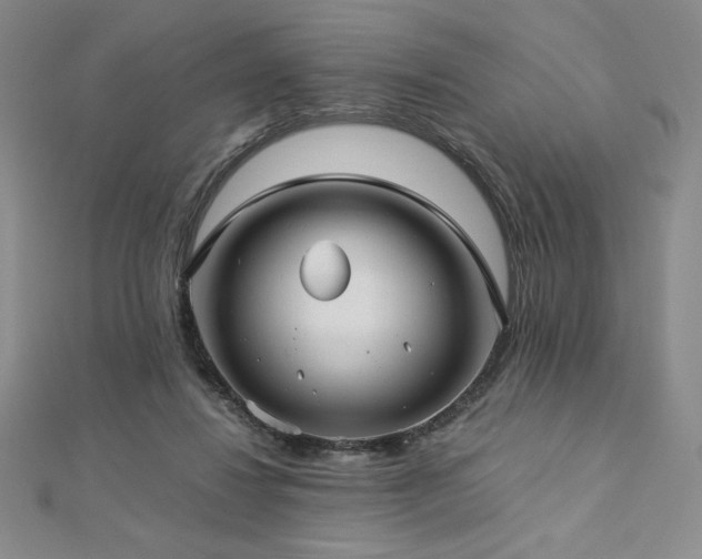 X0000113150260200909041240