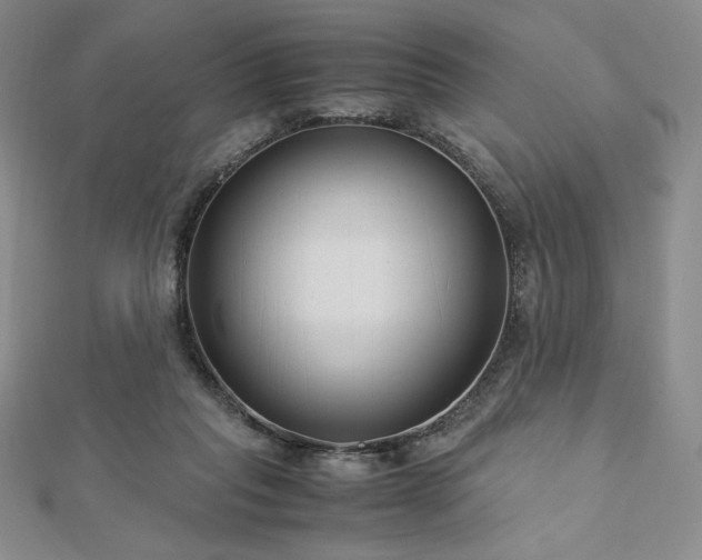 X0000113150261200909041240