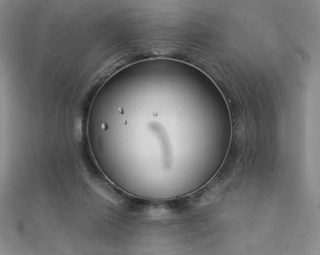 X0000113150262200909041240