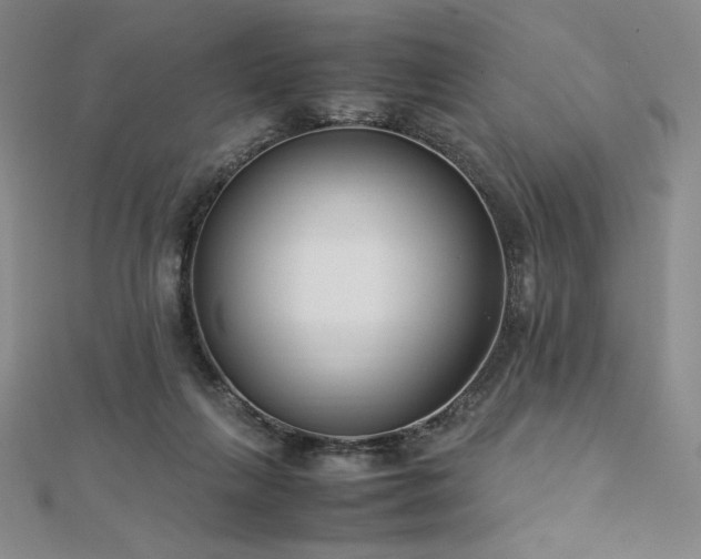 X0000113150263200909041240