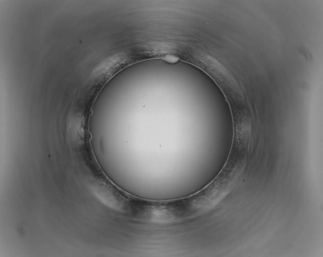 X0000113150264200909041240