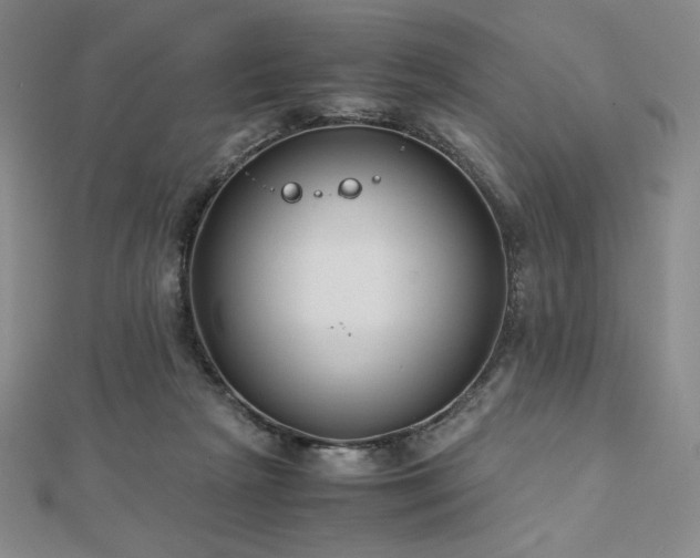 X0000113150265200909041240