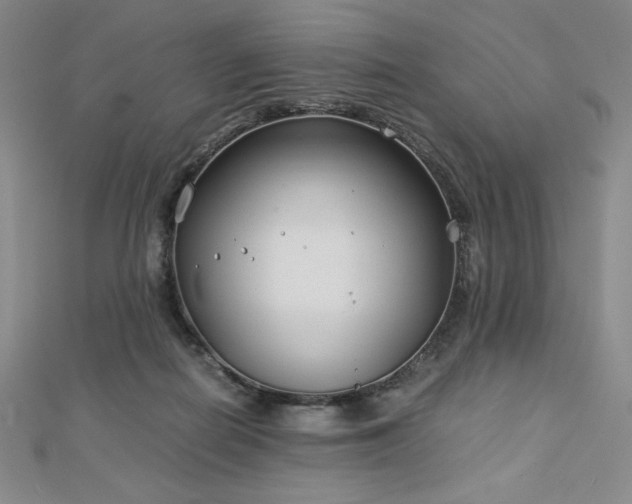 X0000113150266200909041240