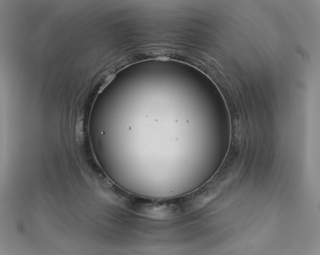 X0000113150267200909041240