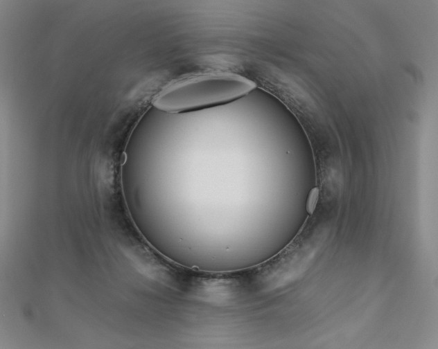 X0000113150268200909041240