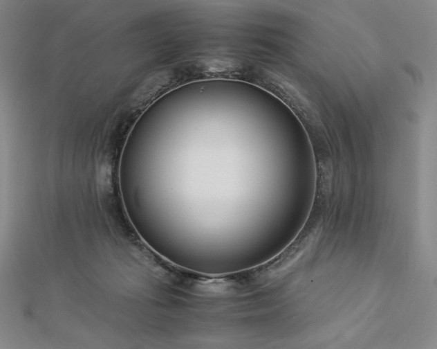 X0000113150269200909041240