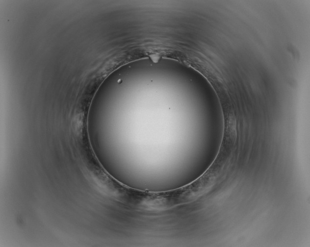 X0000113150271200909041240