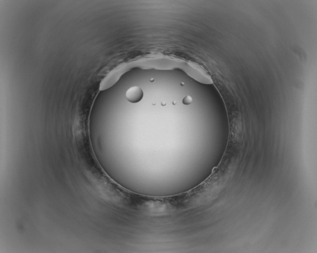 X0000113150272200909041240