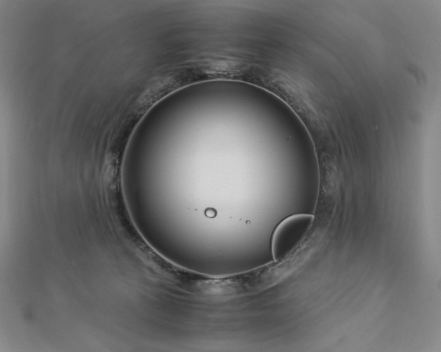 X0000113150273200909041240