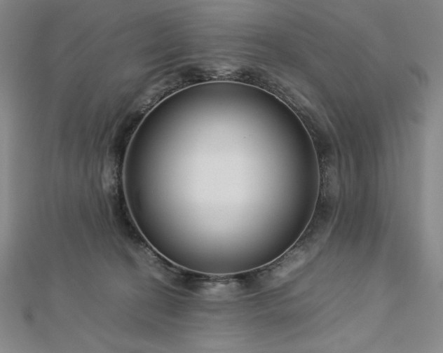 X0000113150274200909041240