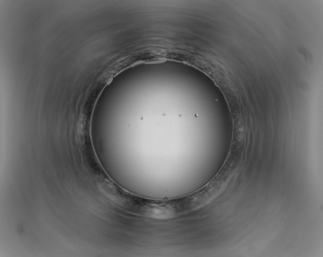 X0000113150275200909041240