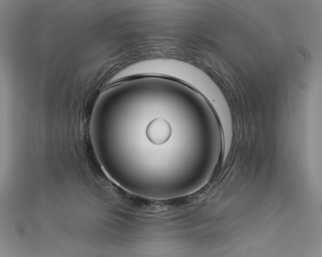 X0000113150276200909041240