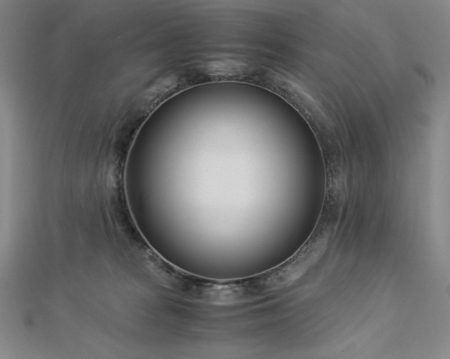 X0000113150277200909041240