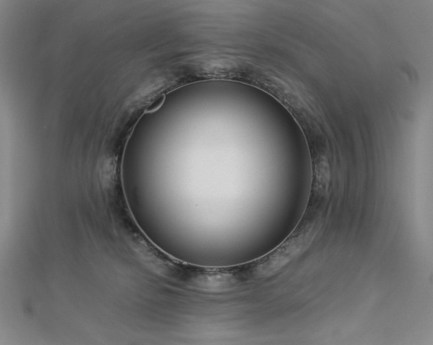 X0000113150278200909041240