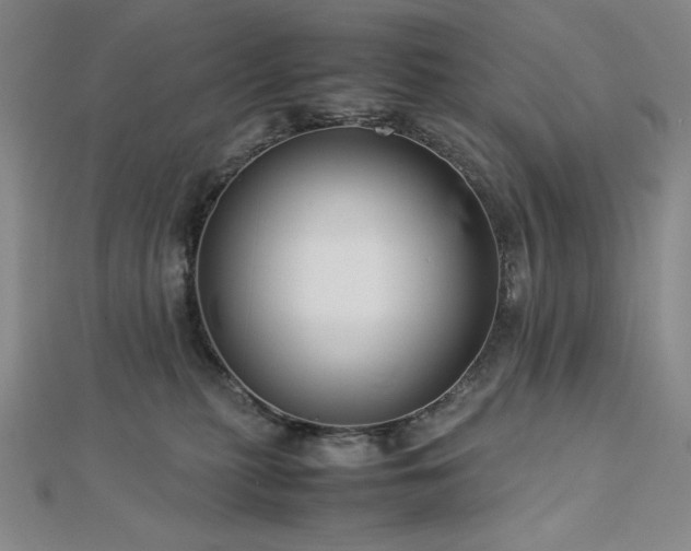 X0000113150279200909041240