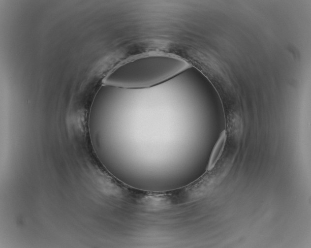 X0000113150280200909041240