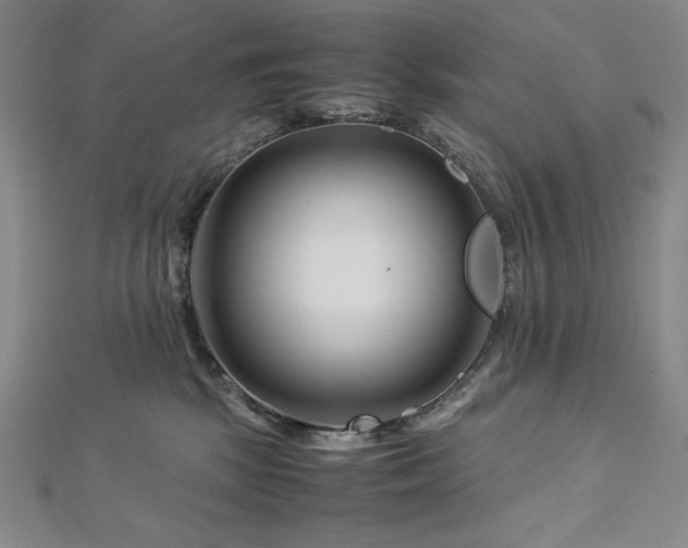 X0000113150281200909041240