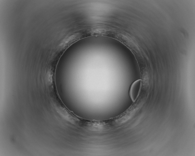 X0000113150282200909041240