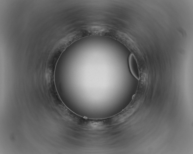 X0000113150283200909041240