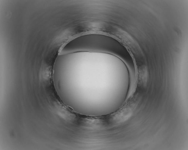 X0000113150284200909041240