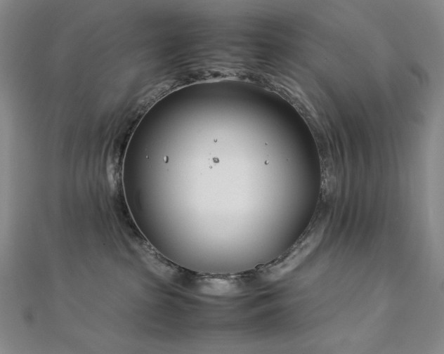 X0000113150285200909041240