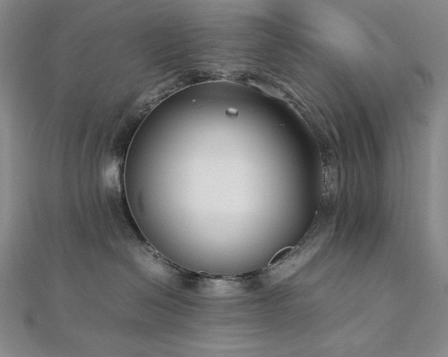 X0000113150286200909041240