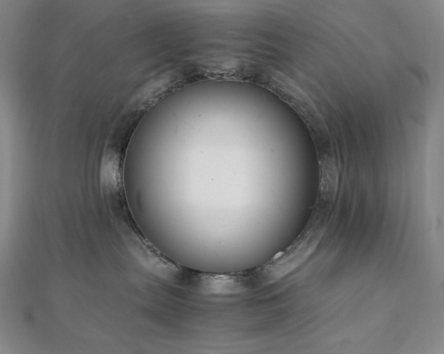 X0000113150287200909041240