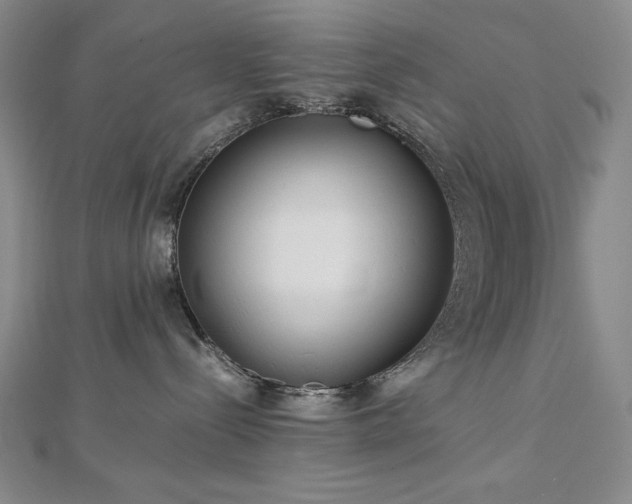 X0000113150288200909041240