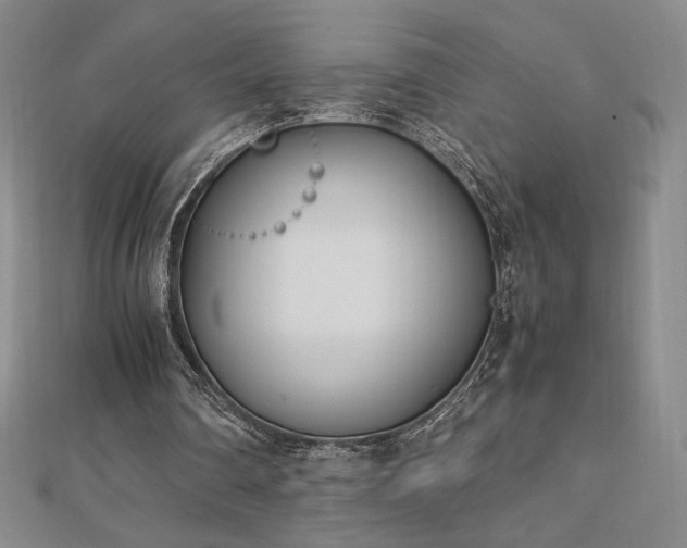 X0000113150290200909041240