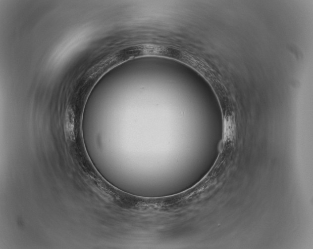 X0000113150291200909041240