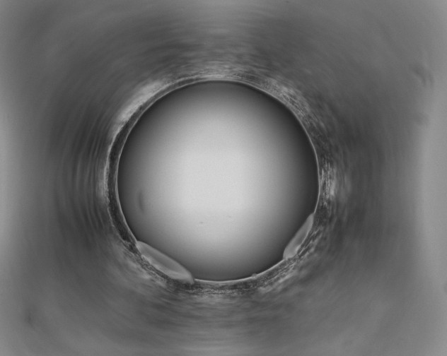 X0000113150292200909041240