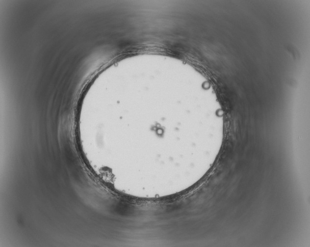 X0000113150293200909041239