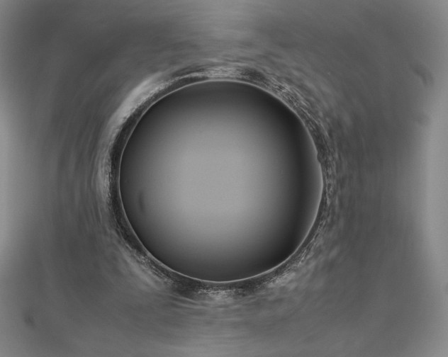 X0000113150295200909041239