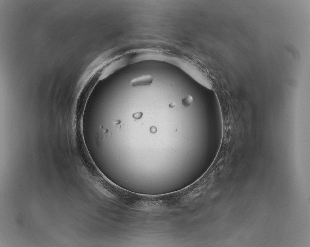 X0000113150296200909041239