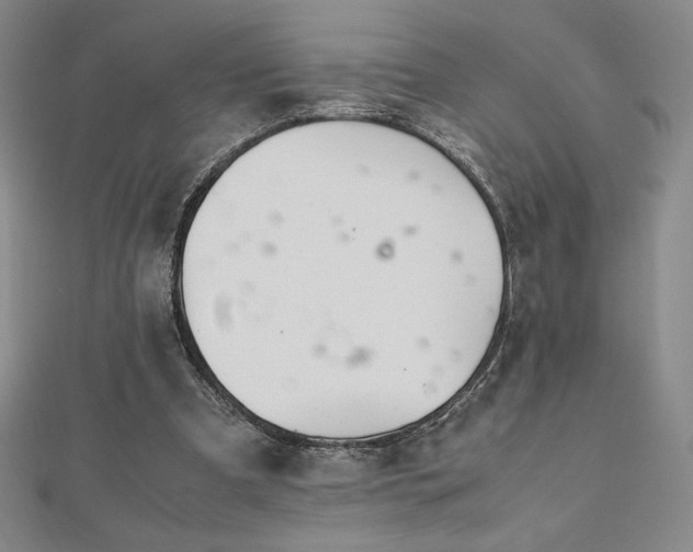 X0000113150297200909041239