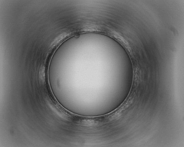 X0000113150298200909041239