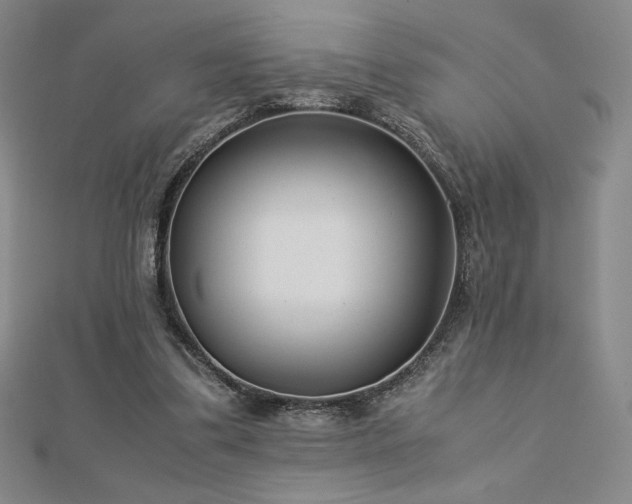 X0000113150299200909041239