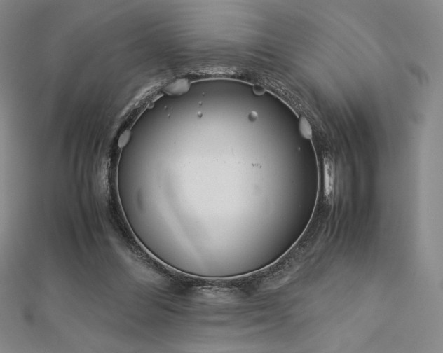 X0000113150300200909041239