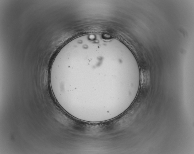 X0000113150301200909041239