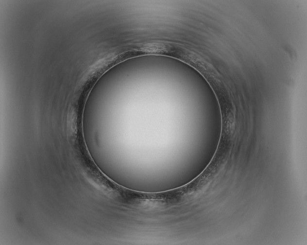 X0000113150303200909041239