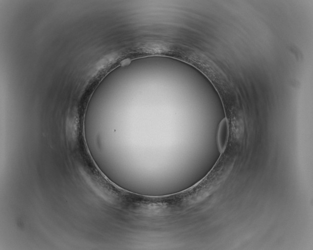 X0000113150304200909041239